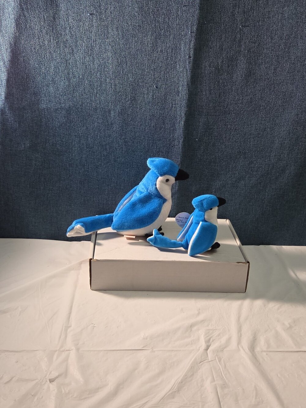 Ty Beanie Baby Rocket the Blue Jay Set Standard & Teenie Beanie 1998 NWT Bird - Picture 2 of 16